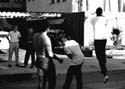 TH_frisbee_1