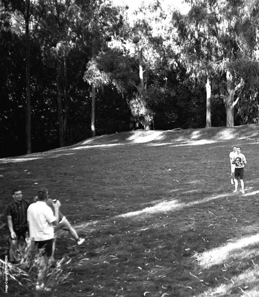 Tilden