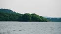 Wildcat Island