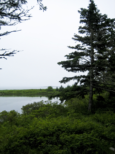 South shore, NS