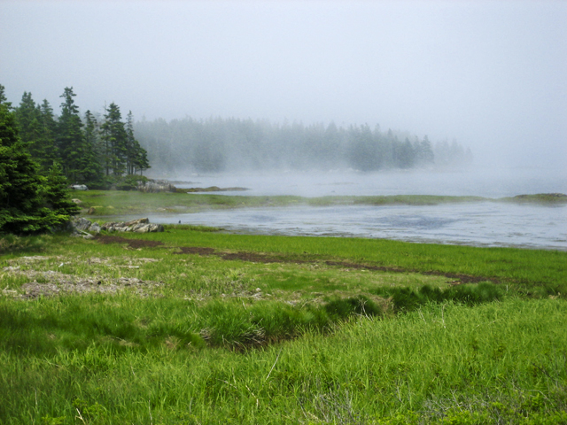 Coastal fog, LaHave, NS