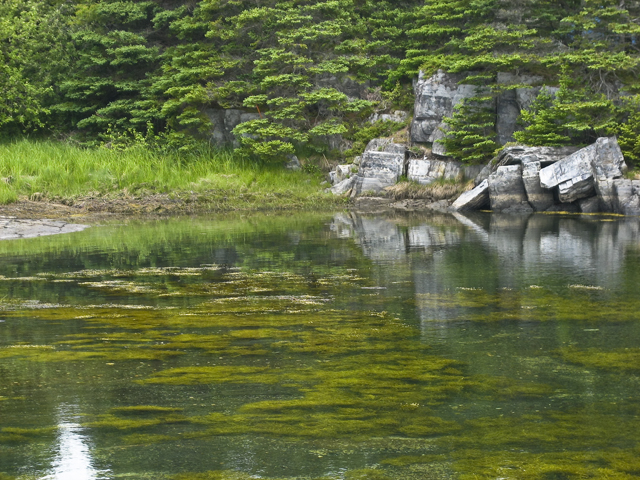 Shoreline, First Peninsula, NS