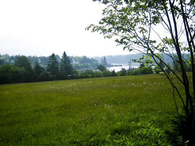 Meadow, Oakland, NS