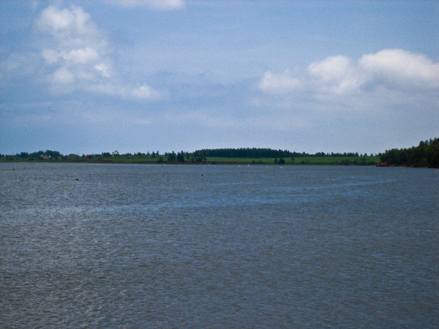 Blue water, red soil & green grass, PEI
