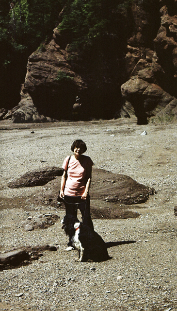 Natalie & Harry @ Hopewell Rocks, NB