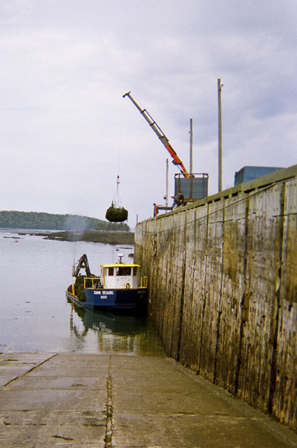 Kelp harvesting, Deer Island, NB