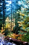 16-Fall-Color