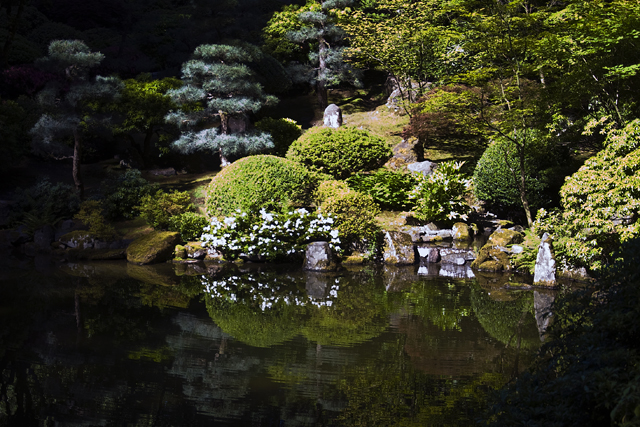 167_new_B_DSC_0121