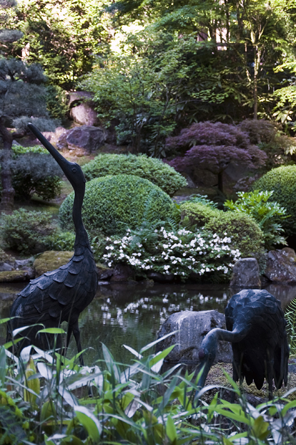 179_new_B_DSC_0139