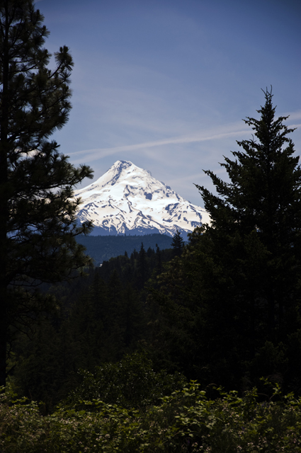 51_new_DSC_0153