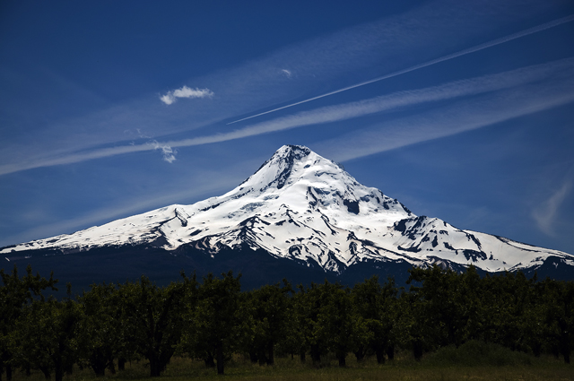 52_new_DSC_0154