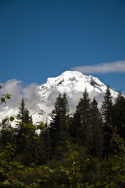 80_new_DSC_0212