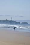 110_new_DSC_0298