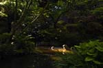 174_new_B_DSC_0131