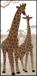 Giraffes