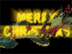Holly Christmas