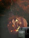 Peter Peter Pumpkin Eater
